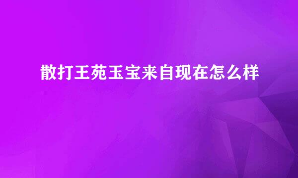 散打王苑玉宝来自现在怎么样
