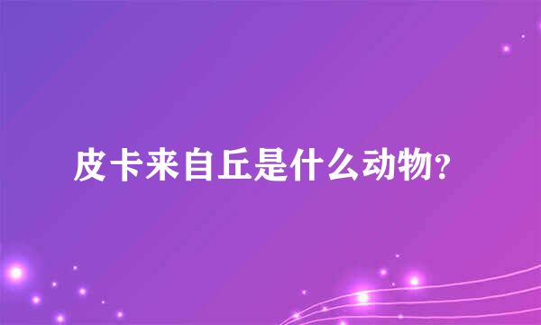 皮卡来自丘是什么动物？