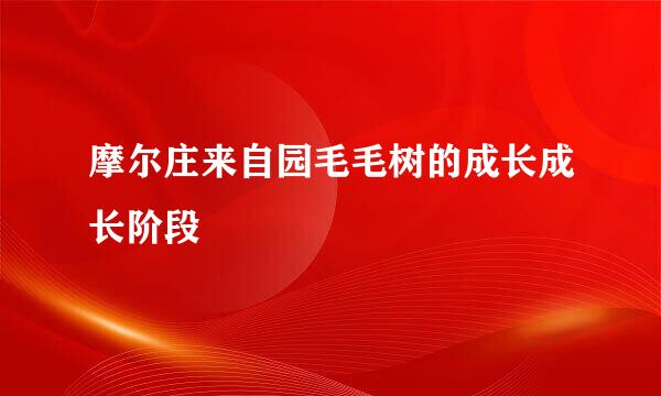 摩尔庄来自园毛毛树的成长成长阶段