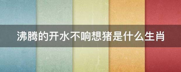 沸腾的开水不响想猪是什么生肖