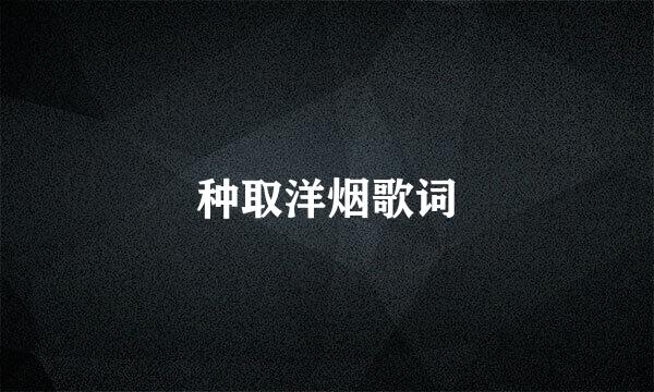 种取洋烟歌词