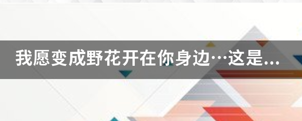 我愿变成野花开在你身边…这是哪首歌的歌词？