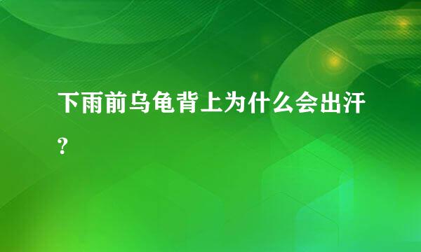 下雨前乌龟背上为什么会出汗？