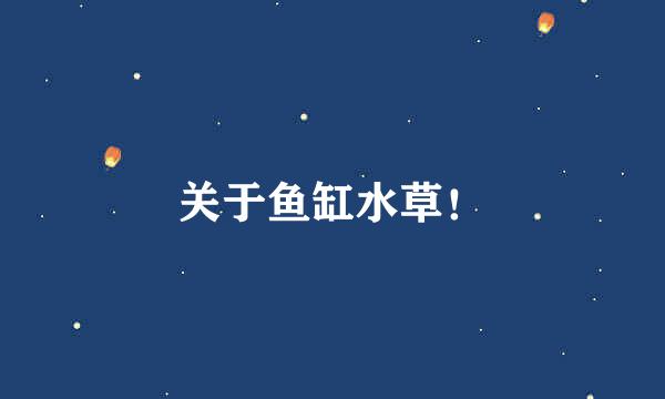 关于鱼缸水草！