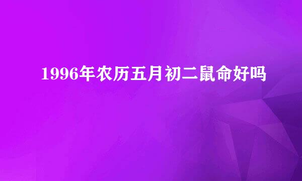 1996年农历五月初二鼠命好吗