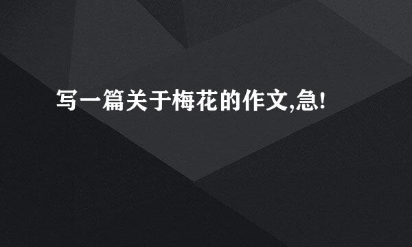 写一篇关于梅花的作文,急!