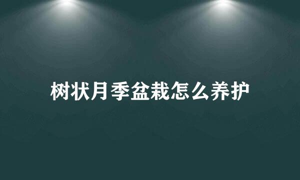 树状月季盆栽怎么养护