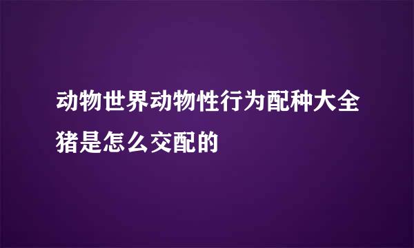 动物世界动物性行为配种大全猪是怎么交配的