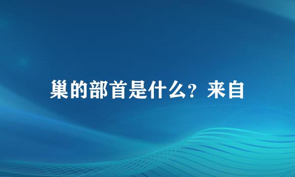 巢的部首是什么？来自