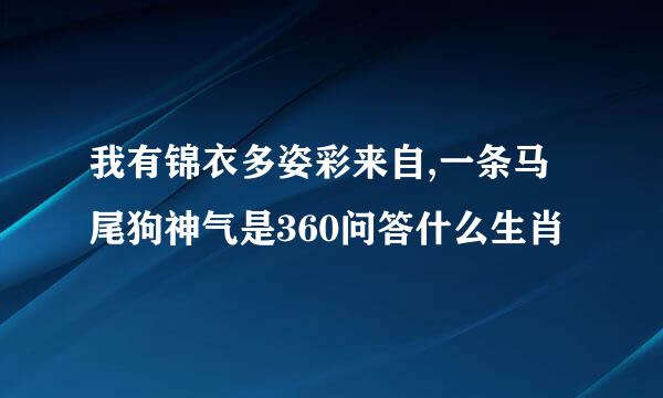 我有锦衣多姿彩来自,一条马尾狗神气是360问答什么生肖