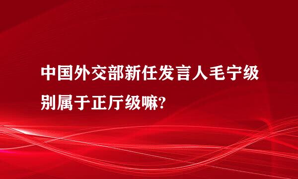 中国外交部新任发言人毛宁级别属于正厅级嘛?