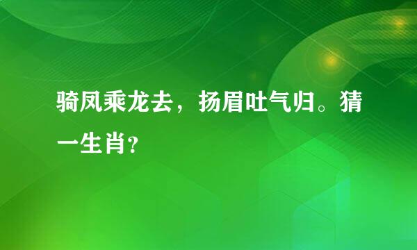 骑凤乘龙去，扬眉吐气归。猜一生肖？