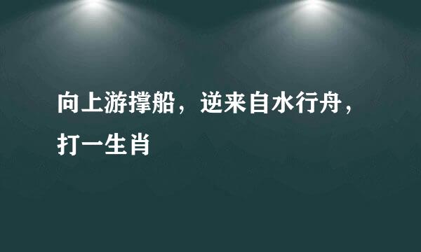 向上游撑船，逆来自水行舟，打一生肖