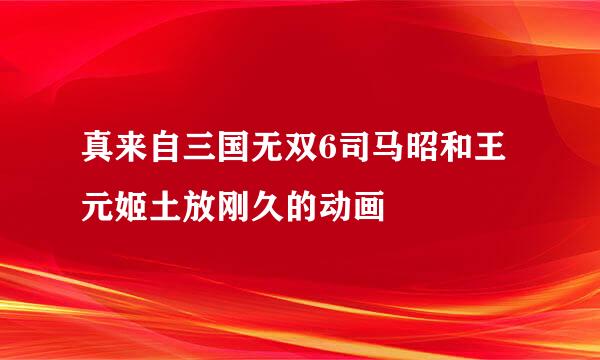 真来自三国无双6司马昭和王元姬土放刚久的动画