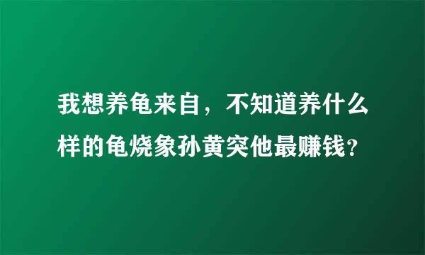 我想养龟来自，不知道养什么样的龟烧象孙黄突他最赚钱？