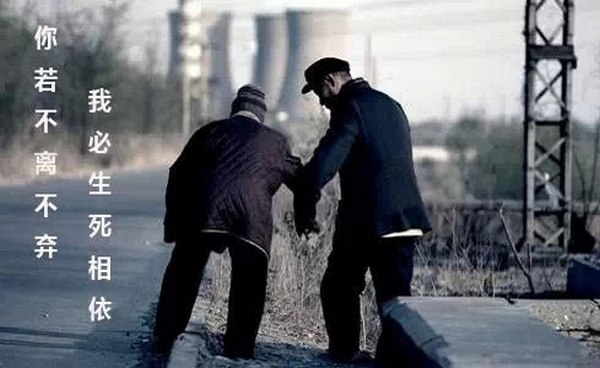 你若不离不弃,我来自必生死相依,用英语怎么说