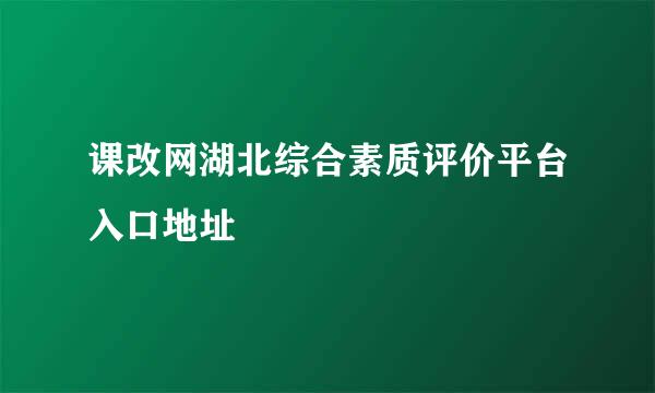 课改网湖北综合素质评价平台入口地址