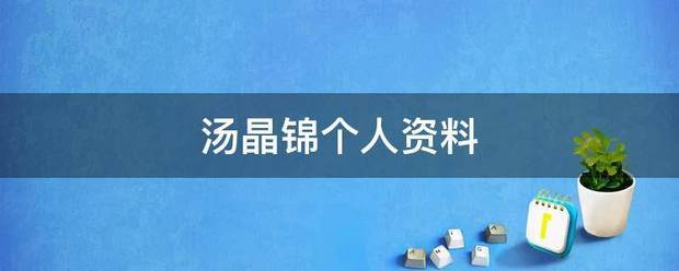 汤晶锦个人资料