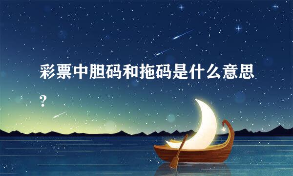 彩票中胆码和拖码是什么意思?
