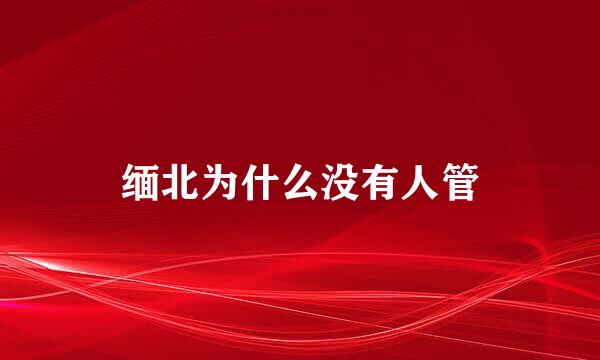 缅北为什么没有人管