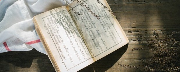 词语解释颤巍巍什么意思