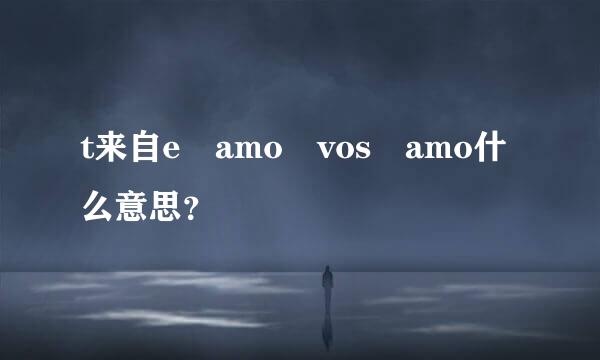 t来自e amo vos amo什么意思？