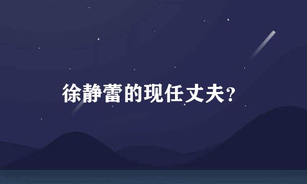 徐静蕾的现任丈夫？