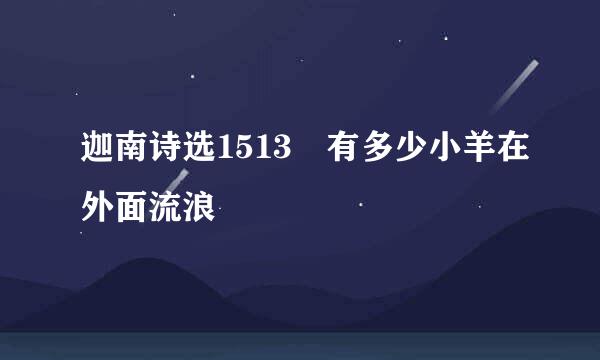 迦南诗选1513 有多少小羊在外面流浪