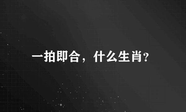一拍即合，什么生肖？