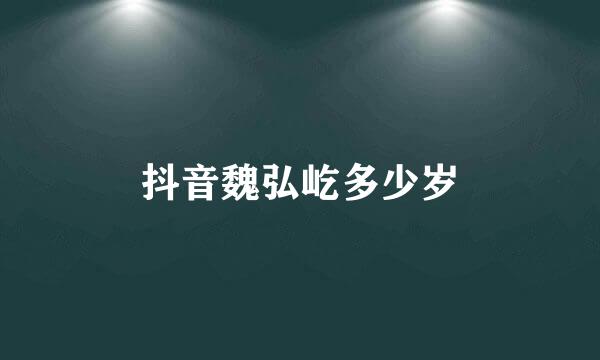 抖音魏弘屹多少岁