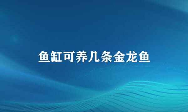 鱼缸可养几条金龙鱼