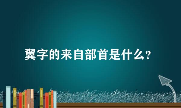 翼字的来自部首是什么？