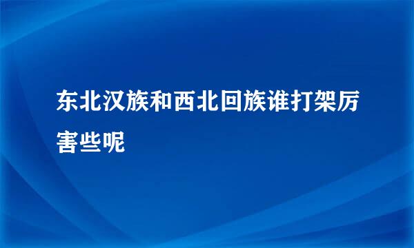 东北汉族和西北回族谁打架厉害些呢