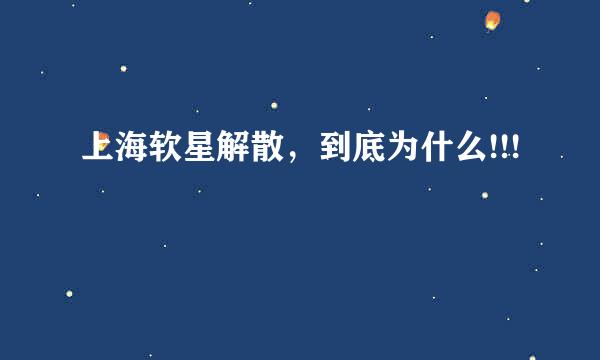 上海软星解散，到底为什么!!!