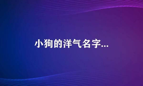 小狗的洋气名字...