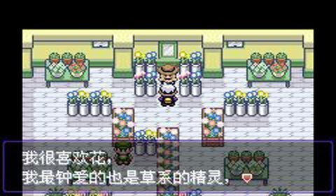 口袋妖怪究极绿宝石银伴战兽存储碟怎么弄