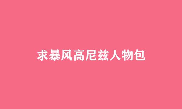 求暴风高尼兹人物包