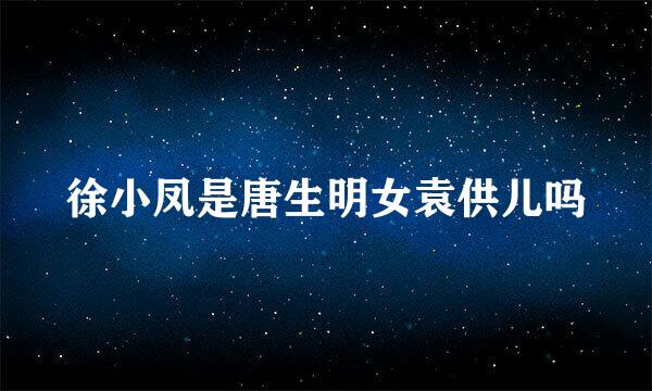 徐小凤是唐生明女袁供儿吗