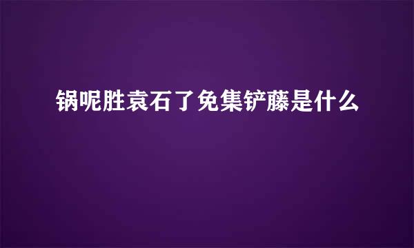 锅呢胜袁石了免集铲藤是什么
