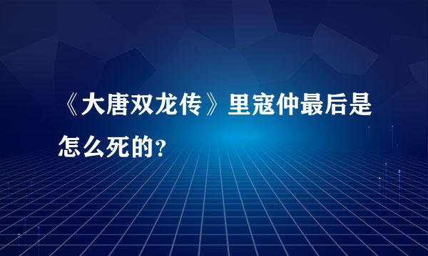 《大唐双龙传》里寇仲最后是怎么死的？