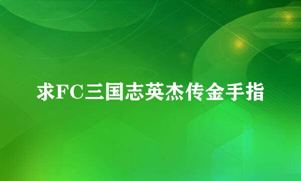 求FC三国志英杰传金手指