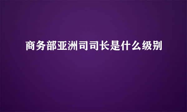 商务部亚洲司司长是什么级别