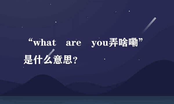 “what are you弄啥嘞”是什么意思？