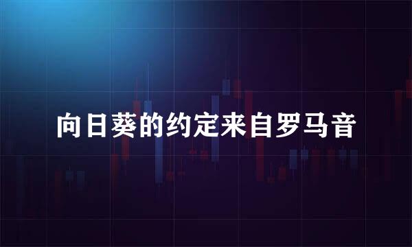 向日葵的约定来自罗马音
