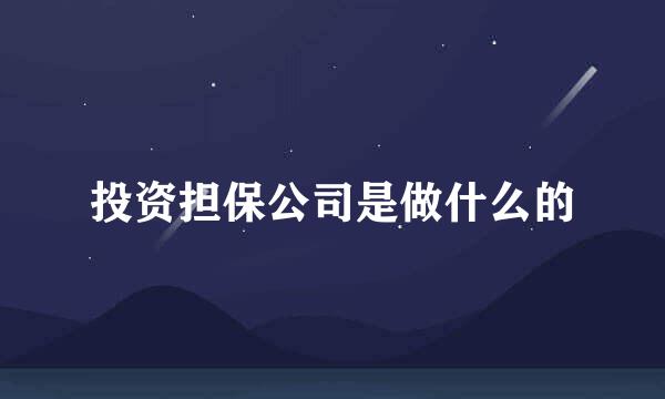 投资担保公司是做什么的