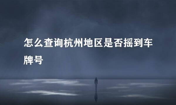 怎么查询杭州地区是否摇到车牌号