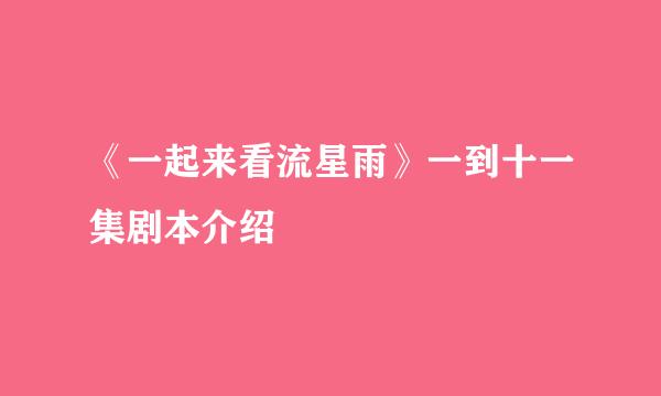《一起来看流星雨》一到十一集剧本介绍
