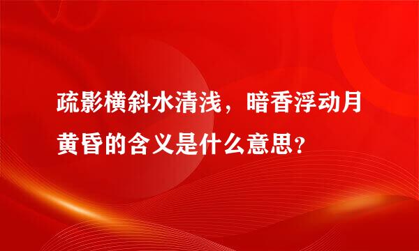 疏影横斜水清浅，暗香浮动月黄昏的含义是什么意思？