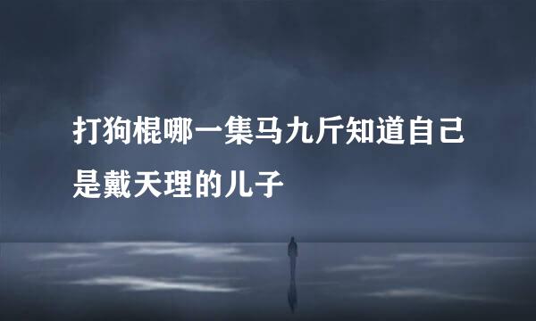 打狗棍哪一集马九斤知道自己是戴天理的儿子