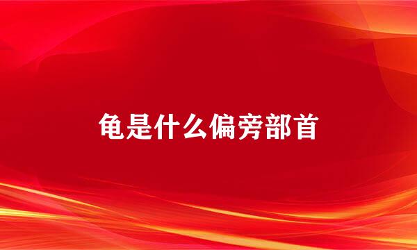 龟是什么偏旁部首